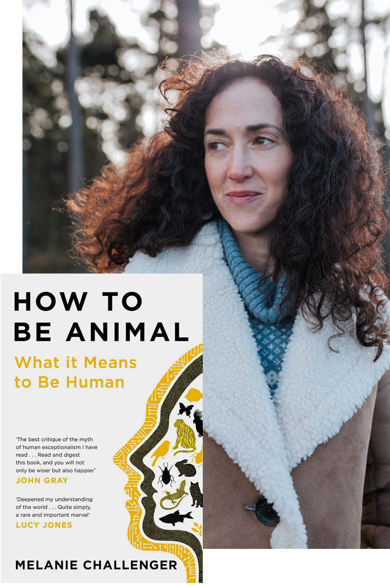Melanie Challenger How to Be Animal